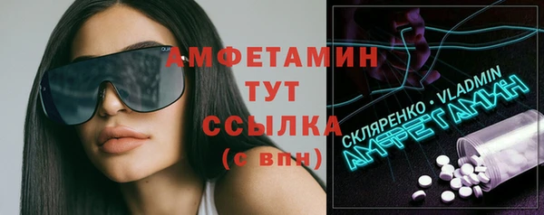 гидра Медвежьегорск