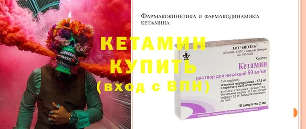 стаф Магас