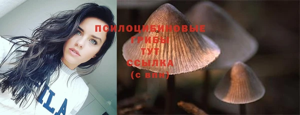 гидра Медвежьегорск