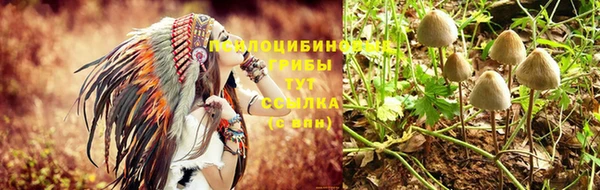 не бодяженный Нефтекумск