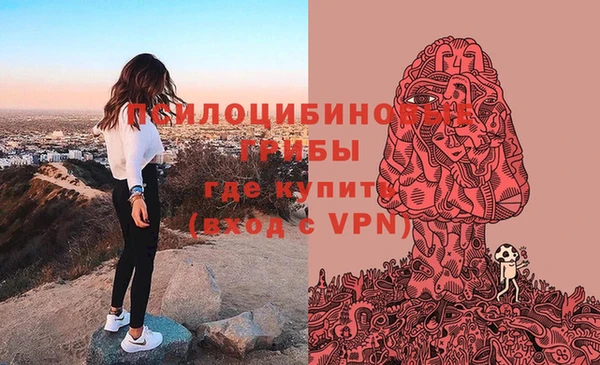 гидра Медвежьегорск