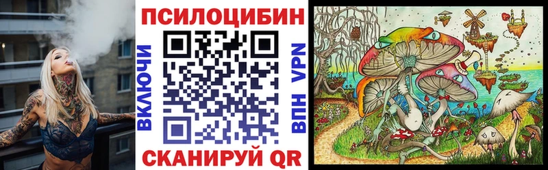 Галлюциногенные грибы Psilocybe  Ржев 