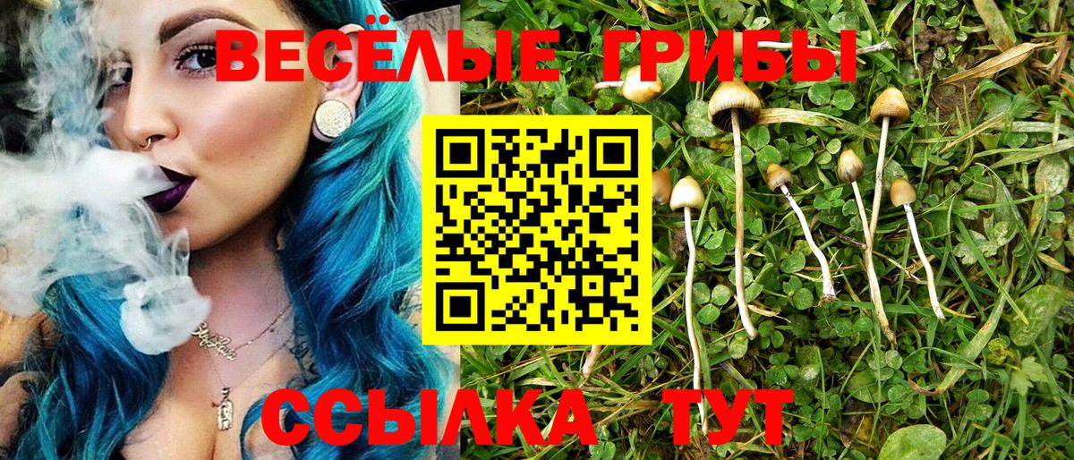 Ржев  Галлюциногенные грибы прущие грибы  наркота  Вход с VPN 